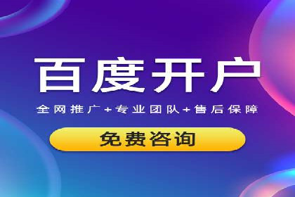 专业sem托管服务案例，揭秘广告投放优化策略